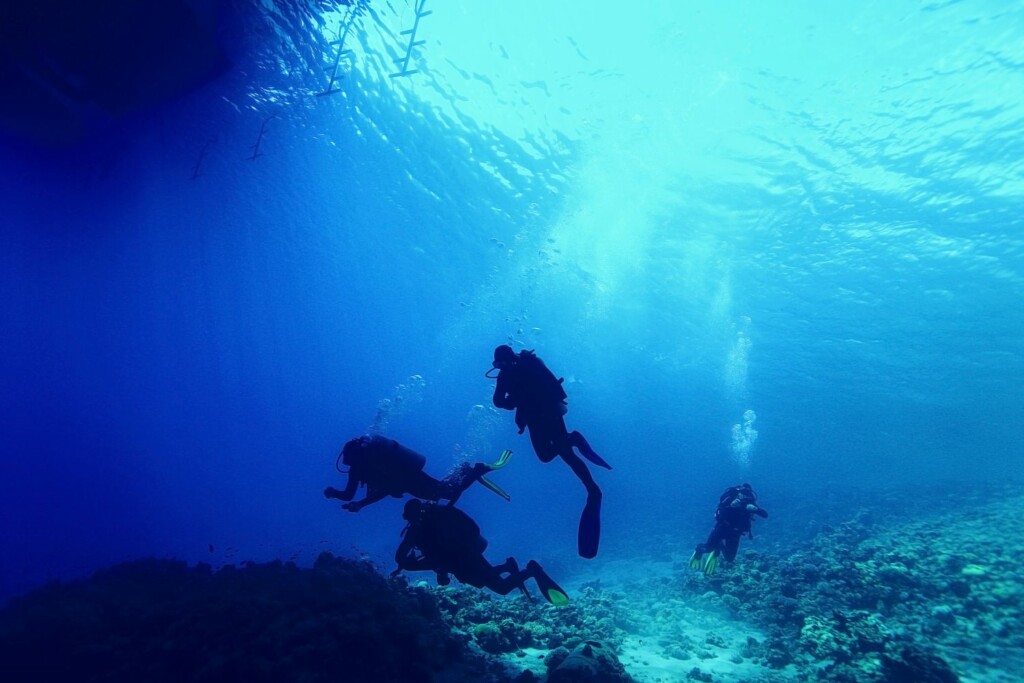 NITROX ENRICHED AIR DIVER - Mr Dolphin